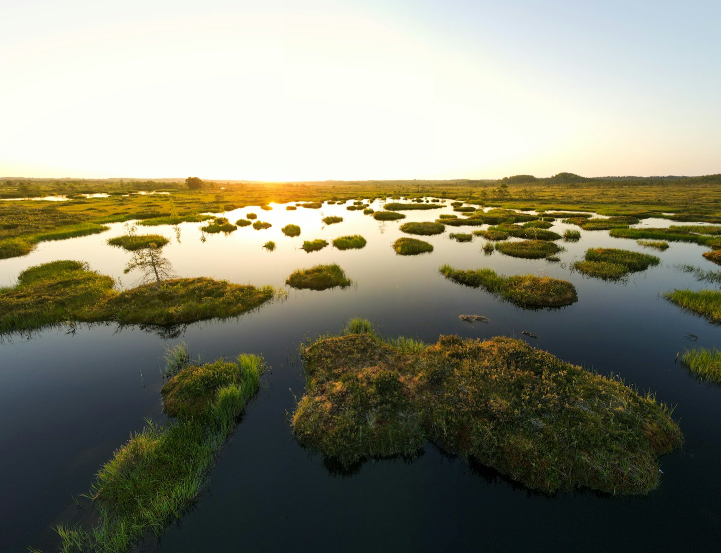 Isole erbose in acqua scura che riflettono la luce dorata del tramonto.