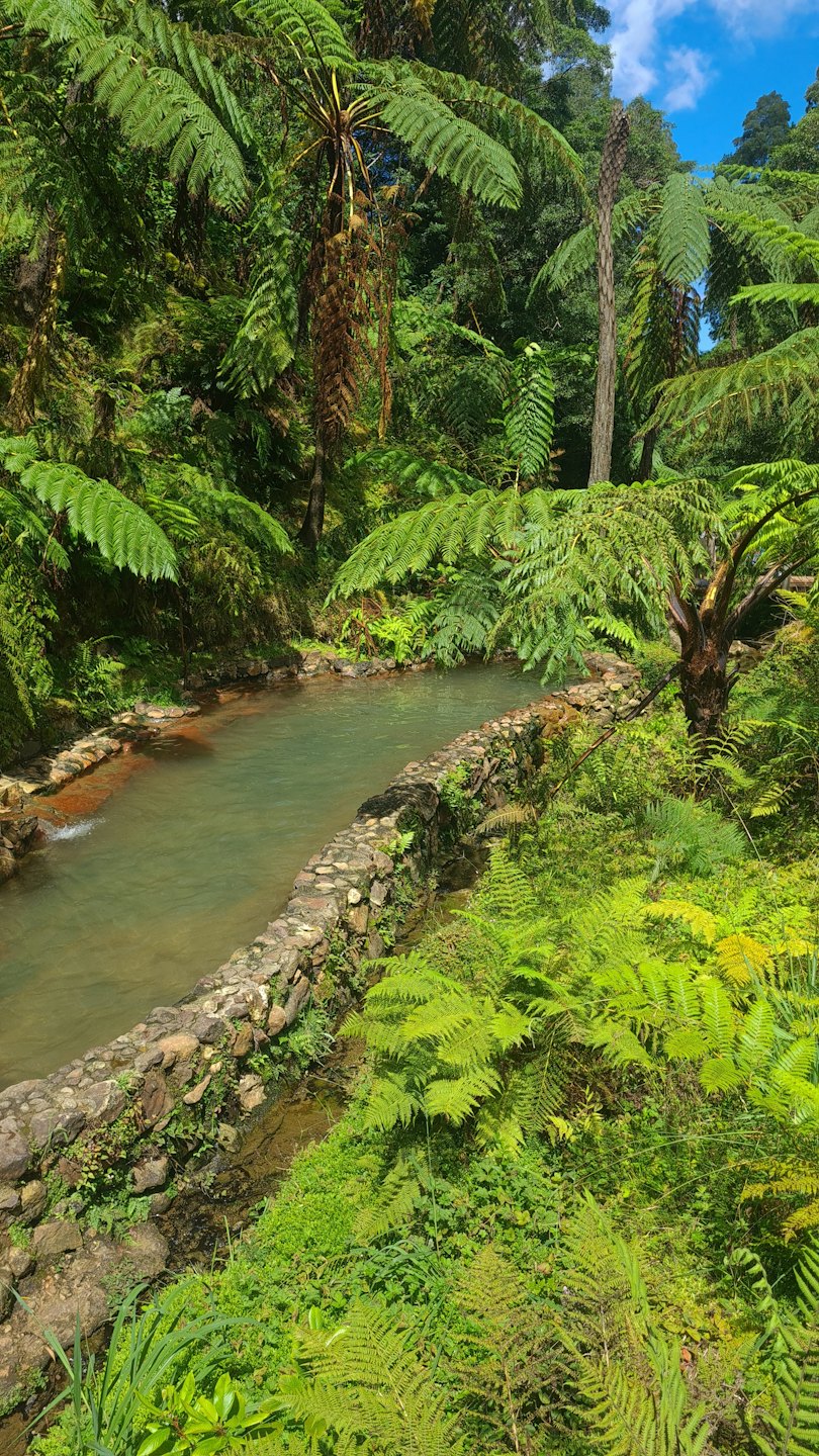 Corrente limpida che scorre tra muri di pietra e felci tropicali.